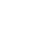 CSS logo